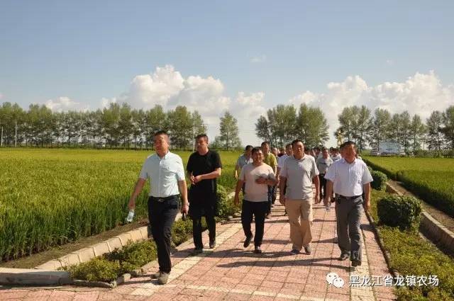 二龙山农场最新动态报道