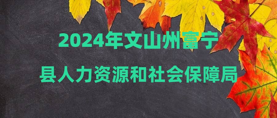 富宁县人力资源和社会保障局最新发展规划概览