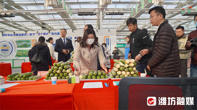 寒亭区农业农村局新项目推动农业现代化，乡村振兴再添动力